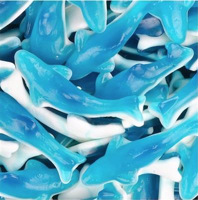 Requin Bleu