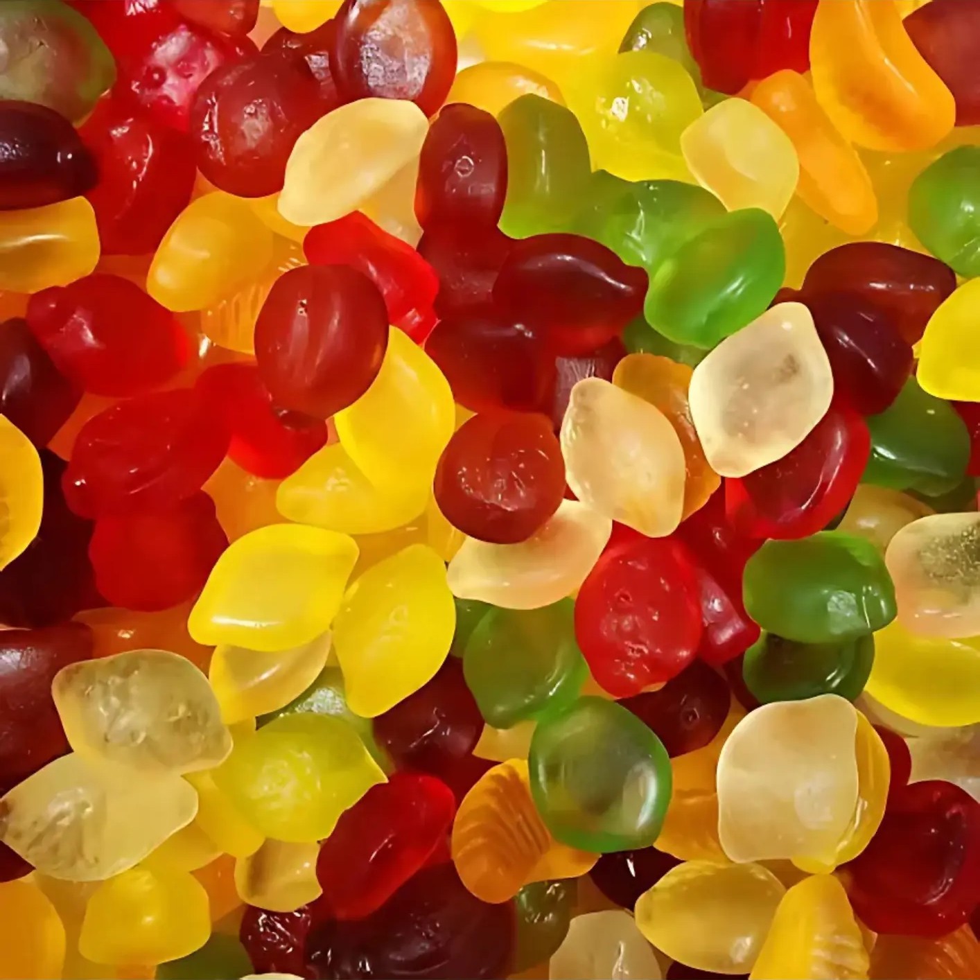 Fruit Sans Sucre