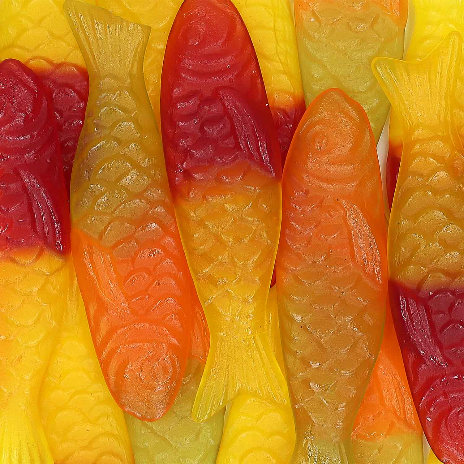 Harengs fruits