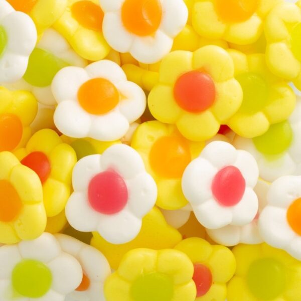 Fleurs Daisies
