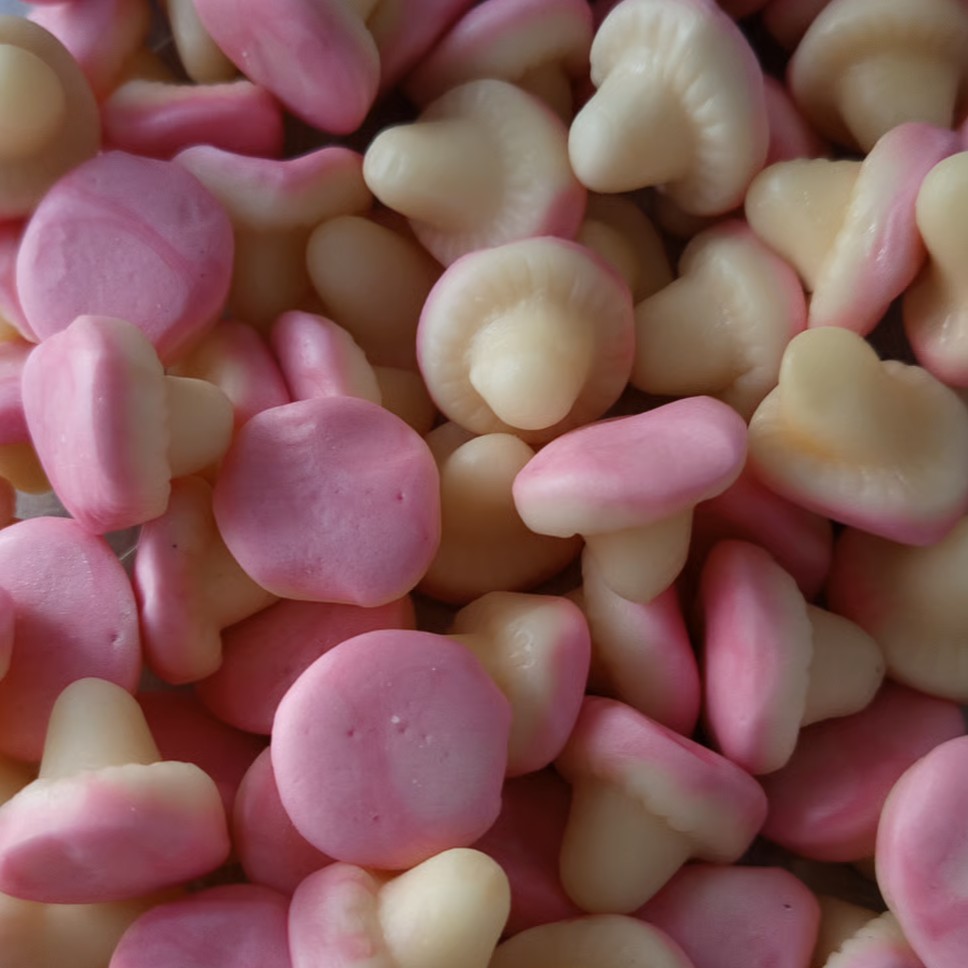 Champignons