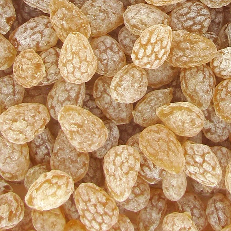 Bourgeons de sapin saveur sève de pin