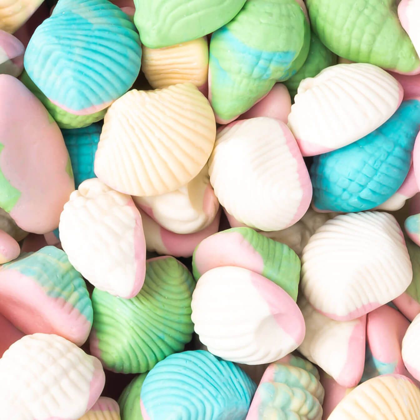 Coquillages assortis